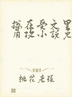 总在受文里抢主角攻小说免费阅读