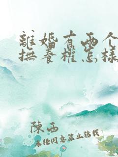 离婚有两个小孩抚养权怎样判定