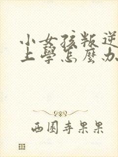 小女孩叛逆不想上学怎么办