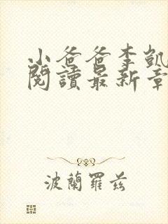 小爸爸李凯全文阅读最新章节