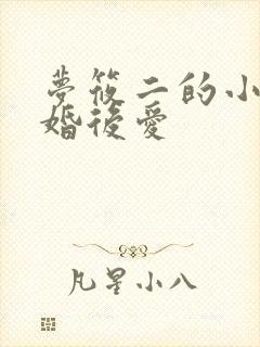 梦筱二的小说先婚后爱