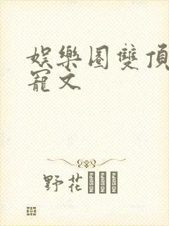 娱乐圈双顶流甜宠文