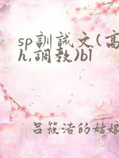 sp训诫文(高h,调教)bl
