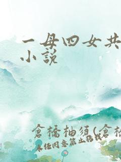 一母四女共一婿小说