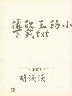 摄政王的小闲妻下载txt