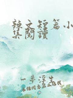 辣文短篇小说合集阅读