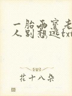 一胎两宝老婆大人别想逃txt