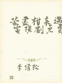 苦尽柑来遇见你 电视剧免费观看中