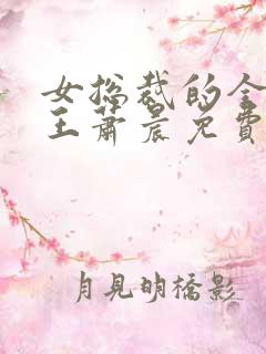 女总裁的全能兵王萧晨免费