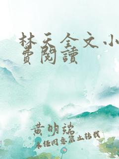 林天全文小说免费阅读