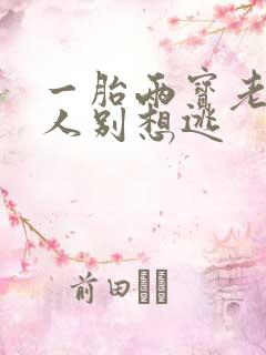 一胎两宝老婆大人别想逃