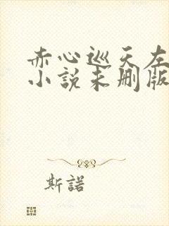 赤心巡天左光烈小说未删版全文