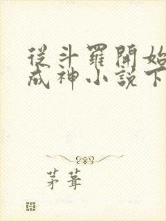 从斗罗开始逆天成神小说下载