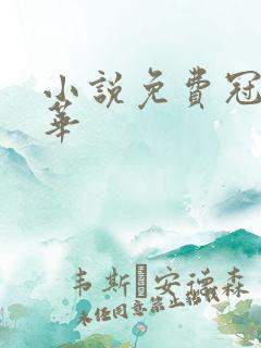 小说免费冠上珠华