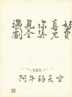 遇见你真好电视剧全集免费观看