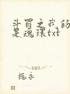 斗罗之我的武魂是魂环txt