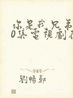 你是我兄弟全40集电视剧在线播放免费