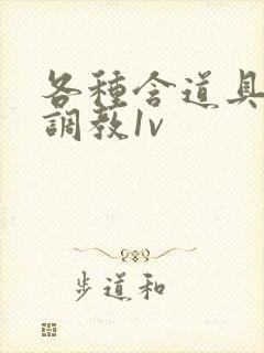 各种含道具高h调教1v