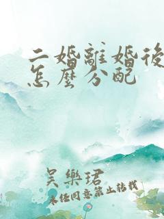 二婚离婚后财产怎么分配