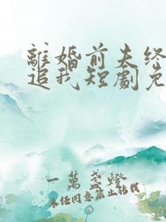 离婚前夫终是想追我短剧免费观看