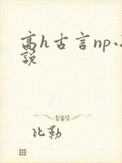 高h古言np小说