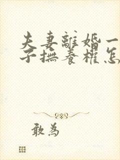 夫妻离婚一个孩子抚养权怎么判定