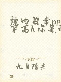 被肉日常np快穿高h你是我的