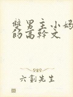 双男主小妈文学的高干文