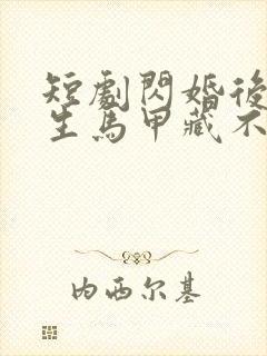 短剧闪婚后傅先生马甲藏不住了免费