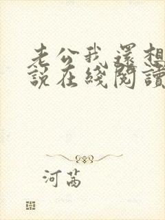 老公我还想要小说在线阅读