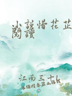 小说惜花芷全文阅读