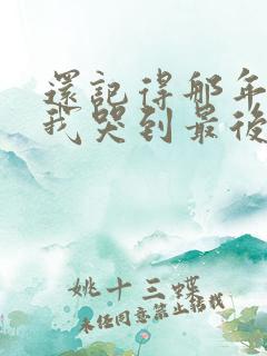 还记得那年分手我哭到最后什么歌