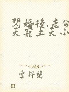 闪婚后,老公每天宠上天小说版