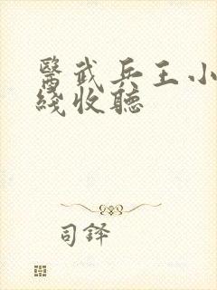 医武兵王小说在线收听