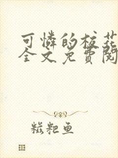 可怜的校花小说全文免费阅读