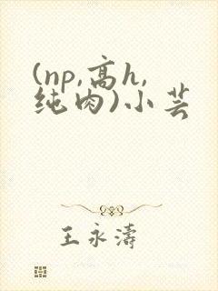 (np,高h,纯肉)小芸