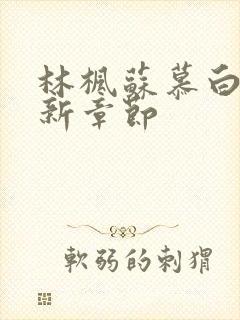 林枫苏慕白穿最新章节