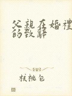 父亲在婚礼现场的致辞