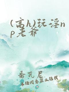 (高h)玩淫np老爷