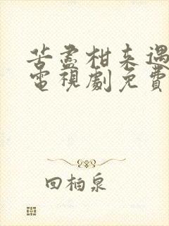 苦尽柑来遇见你电视剧免费观看国语