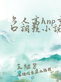 多人高hnp重口调教小说