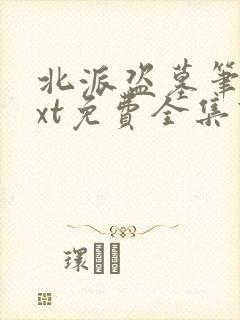 北派盗墓笔记txt免费全集下载