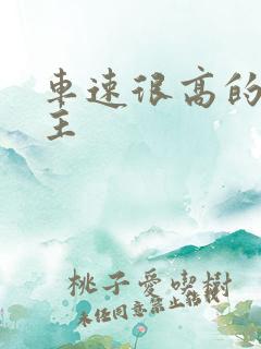 车速很高的双男主