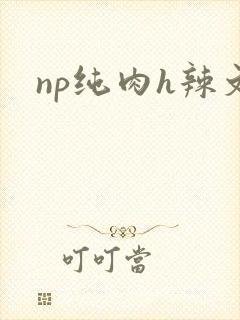 np纯肉h辣文