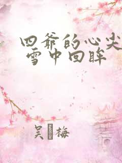 四爷的心尖宠妃 雪中回眸
