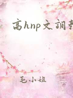 高hnp文调教