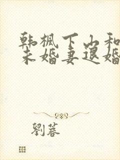 韩枫下山和9个未婚妻退婚的小说