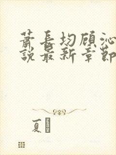 萧长均顾沁儿小说最新章节免费阅读