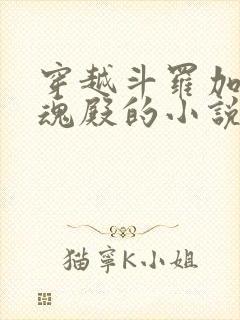 穿越斗罗加入武魂殿的小说