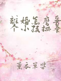 离婚怎么争取两个小孩抚养权